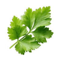 Fresh Herbs | Potato Salad Recipe