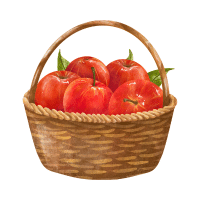 Apples | Apple Milkshake