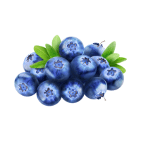 Blueberries | Blueberry Pie Recipe