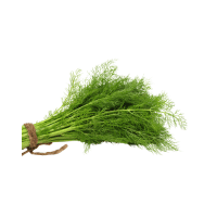 Fresh Dill | Cucumber Salad Recipe