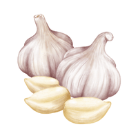 Garlic | Roujiamo Recipe