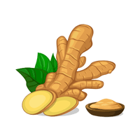 Ginger | Chicken Shish Tawook Recipe