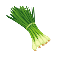 Green Onions | Tteokbokki Recipe