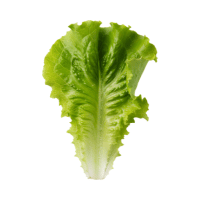 Lettuce | Italian Sub Sandwich