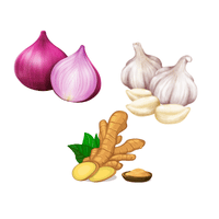 Onion, garlic, and ginger | Chicken Katsu Curry