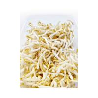 Bean Sprouts | Laksa Recipe