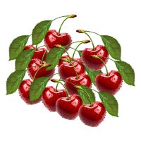 Fresh Cherries | Cherry Pie Recipe