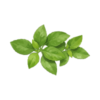 Fresh Herbs | Laksa Recipe