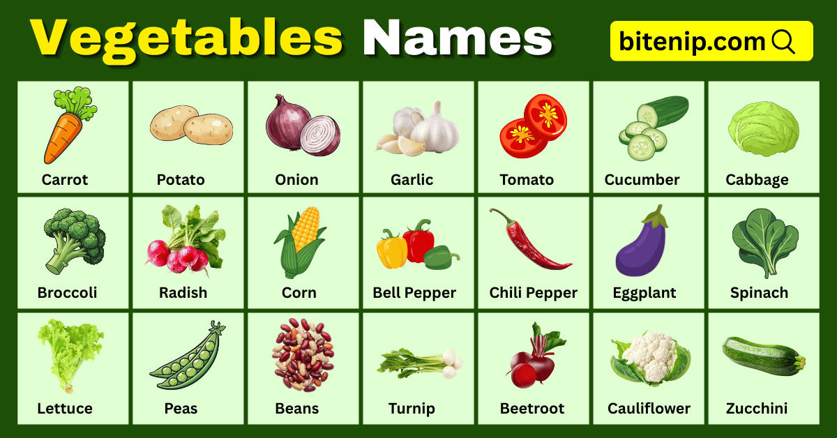 42 vegetables names in English with Pictures