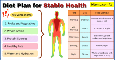 Diet Plan for Stable Health: A Guide to Balanced Nutrition