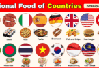 National Food of Different Countries with Names and Pictures