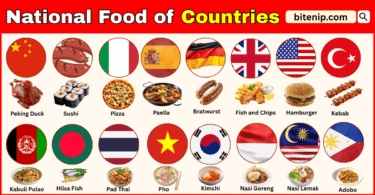National Food of Different Countries with Names and Pictures